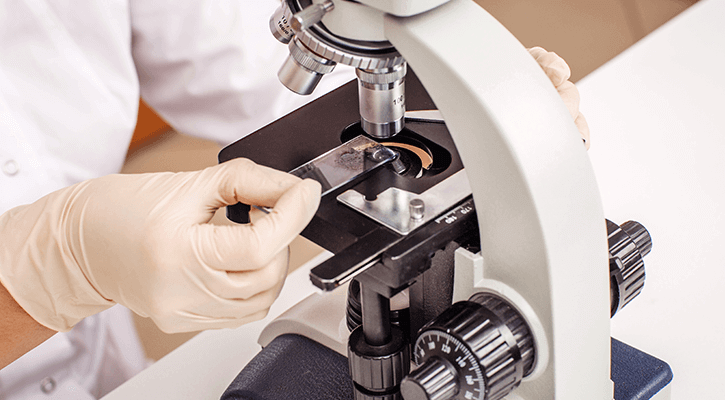 Doctor looking at dog and cat specimens under microscope